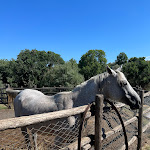 Photo n°11 de l'avis de Amira.m fait le 05/09/2022 à 15:40 sur le  Le Moline à Vetralla