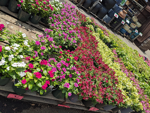 Home Improvement Store «Menards», reviews and photos, 2315 Merchant Mile, Columbus, IN 47201, USA