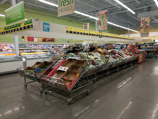 Grocery Store «Aldi», reviews and photos, 367 Sunrise Hwy North Service Rd, Patchogue, NY 11772, USA