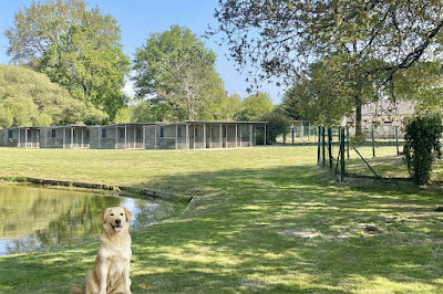 La Douce Vallée - Pension pour chien et chat à Vigneux-de-Bretagne