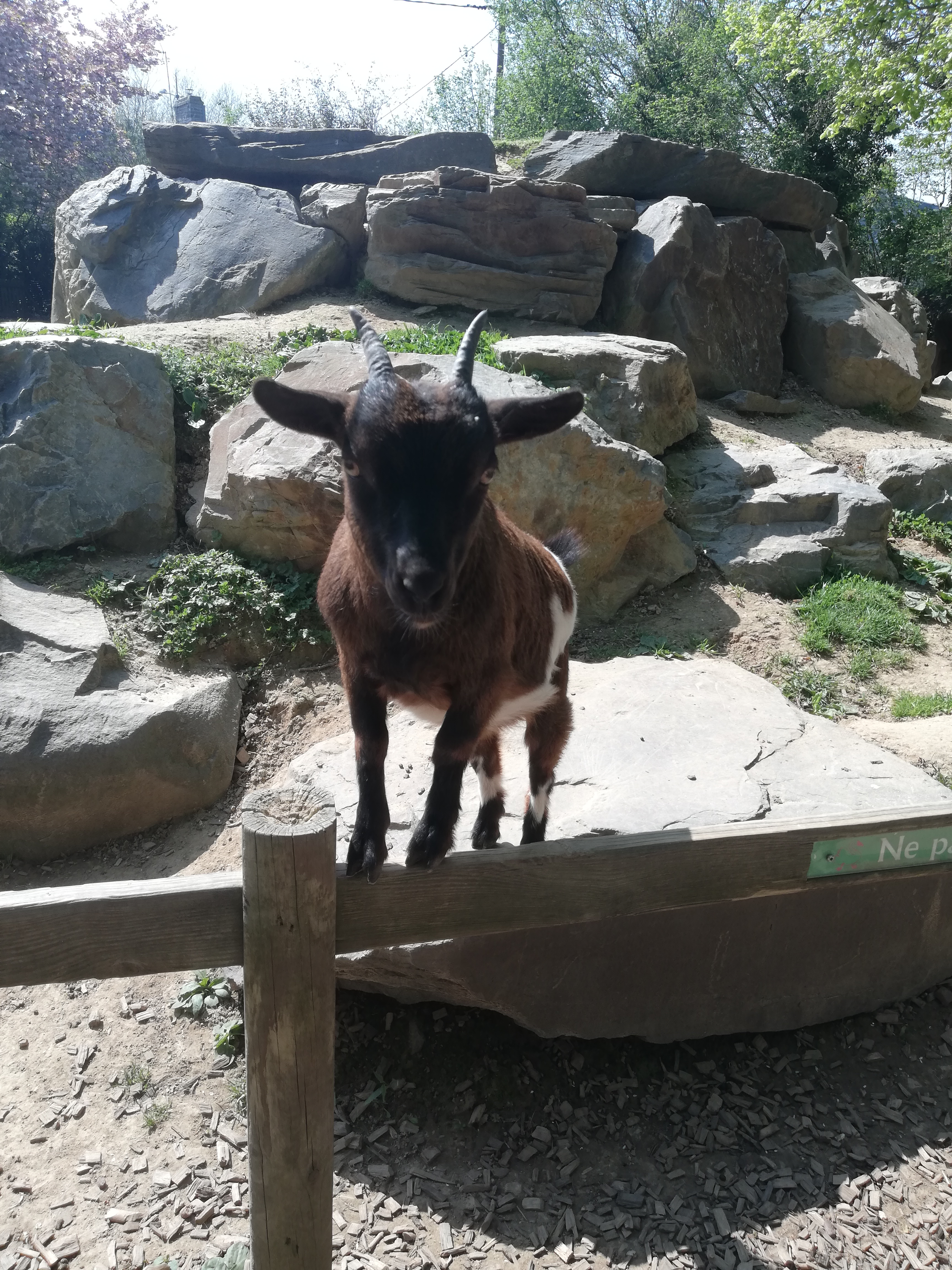 Photo n° 17 de l'avis de Jérôme.z fait le 21/04/2019 à 16:31