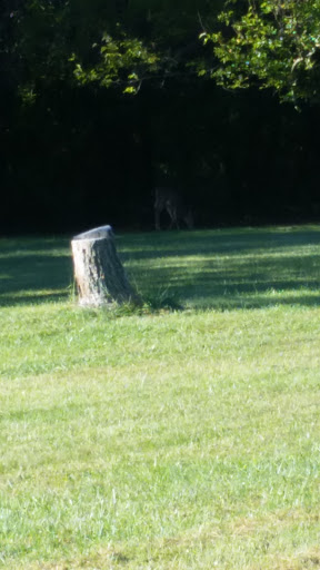 Park «Delcastle Recreational Park», reviews and photos, 2920 Duncan Rd, Wilmington, DE 19808, USA