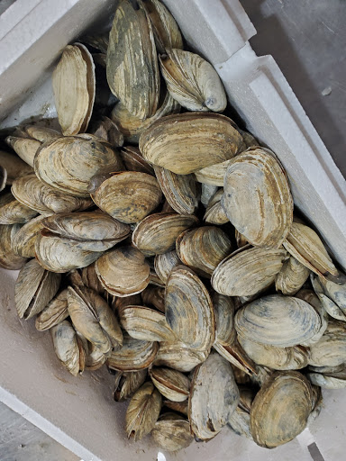 Seafood Market «Metropolitan Seafood & Gourmet», reviews and photos, 1320 US-22, Lebanon, NJ 08833, USA