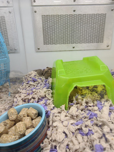 Pet Supply Store «Petco Animal Supplies», reviews and photos, 3680 Spencer Hwy, Pasadena, TX 77504, USA