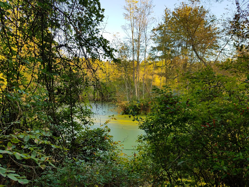 Nature Preserve «Governor Bridge Natural Area», reviews and photos, 7600 Governor Bridge Rd, Bowie, MD 20716, USA