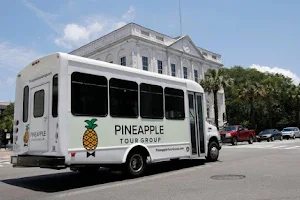 Pineapple Tour Group image