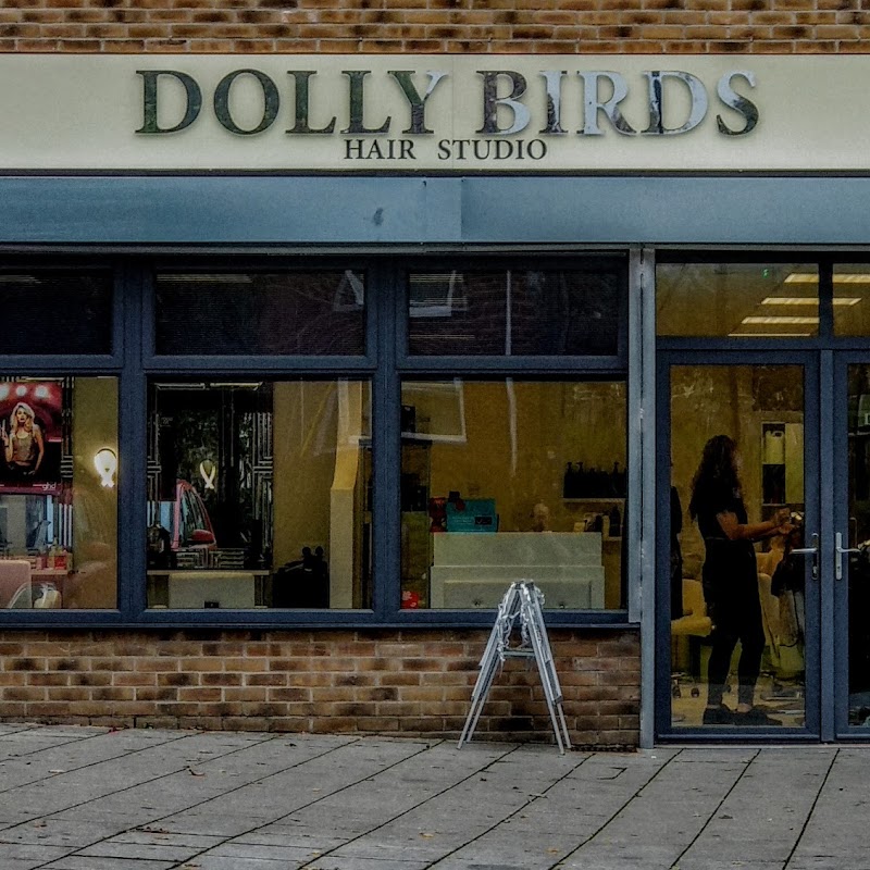 Dolly Birds Hair Studio