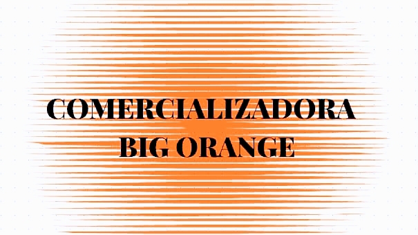 Opiniones de Comercializadora Big Orange SPA en Maipú - Tienda de móviles