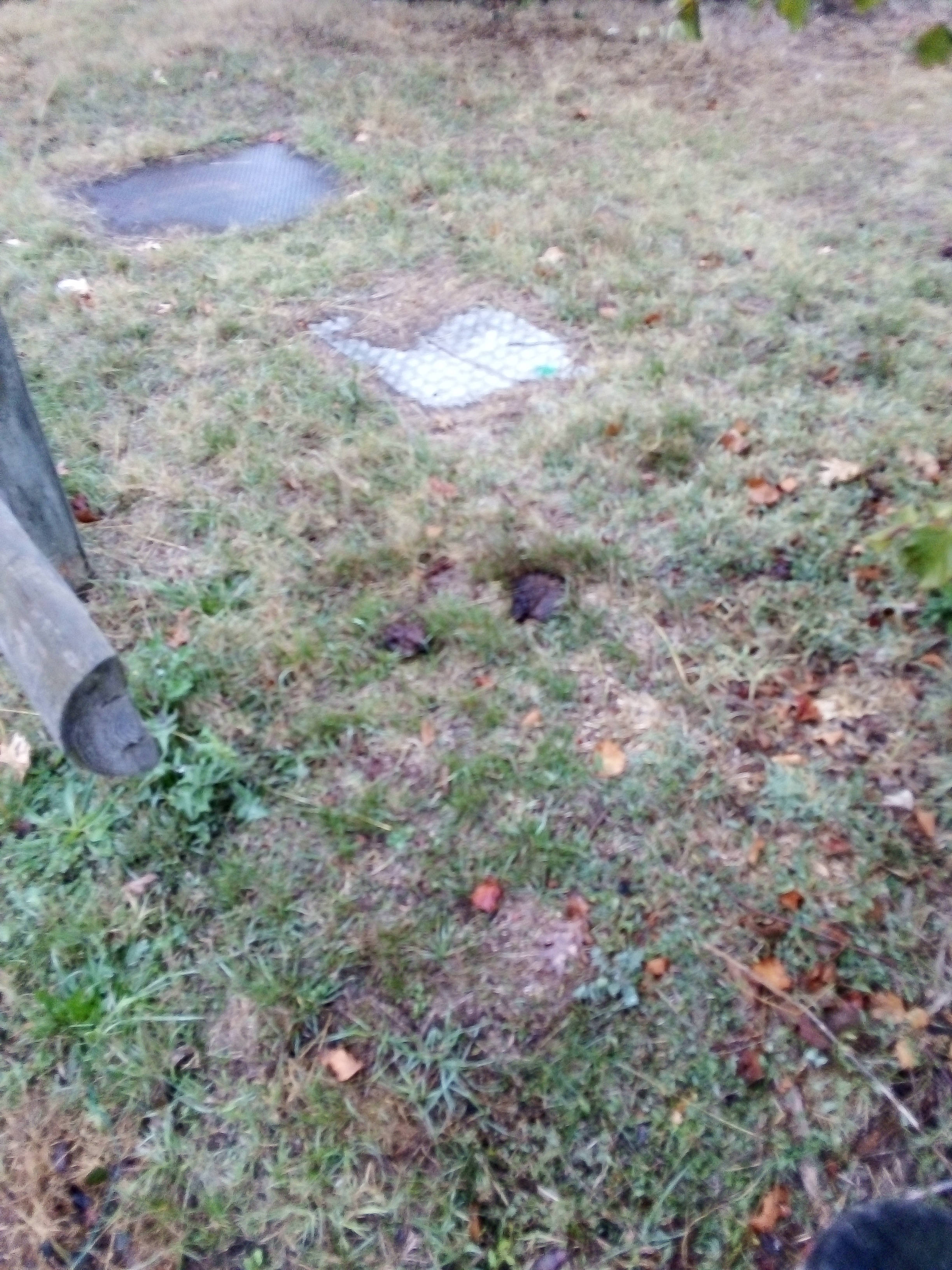 Photo n° 2 de l'avis de Pierre.e fait le 26/11/2019 à 12:14