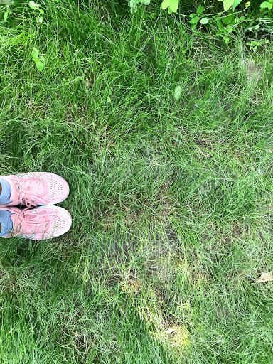 Park «Sherando Park», reviews and photos, 255 Lakeview Cir, Stephens City, VA 22655, USA