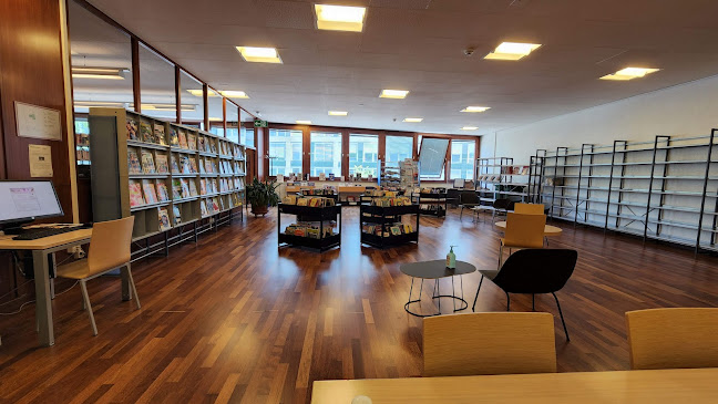Bibliothèque municipale de la Jonction