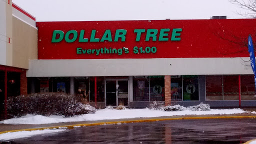 Dollar Store «Dollar Tree», reviews and photos, 3055 W 159th St, Markham, IL 60428, USA