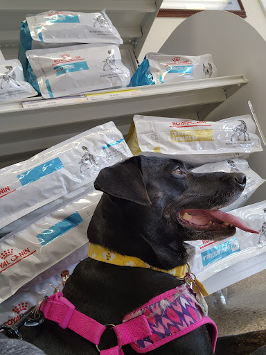 Chatham Animal Clinic image