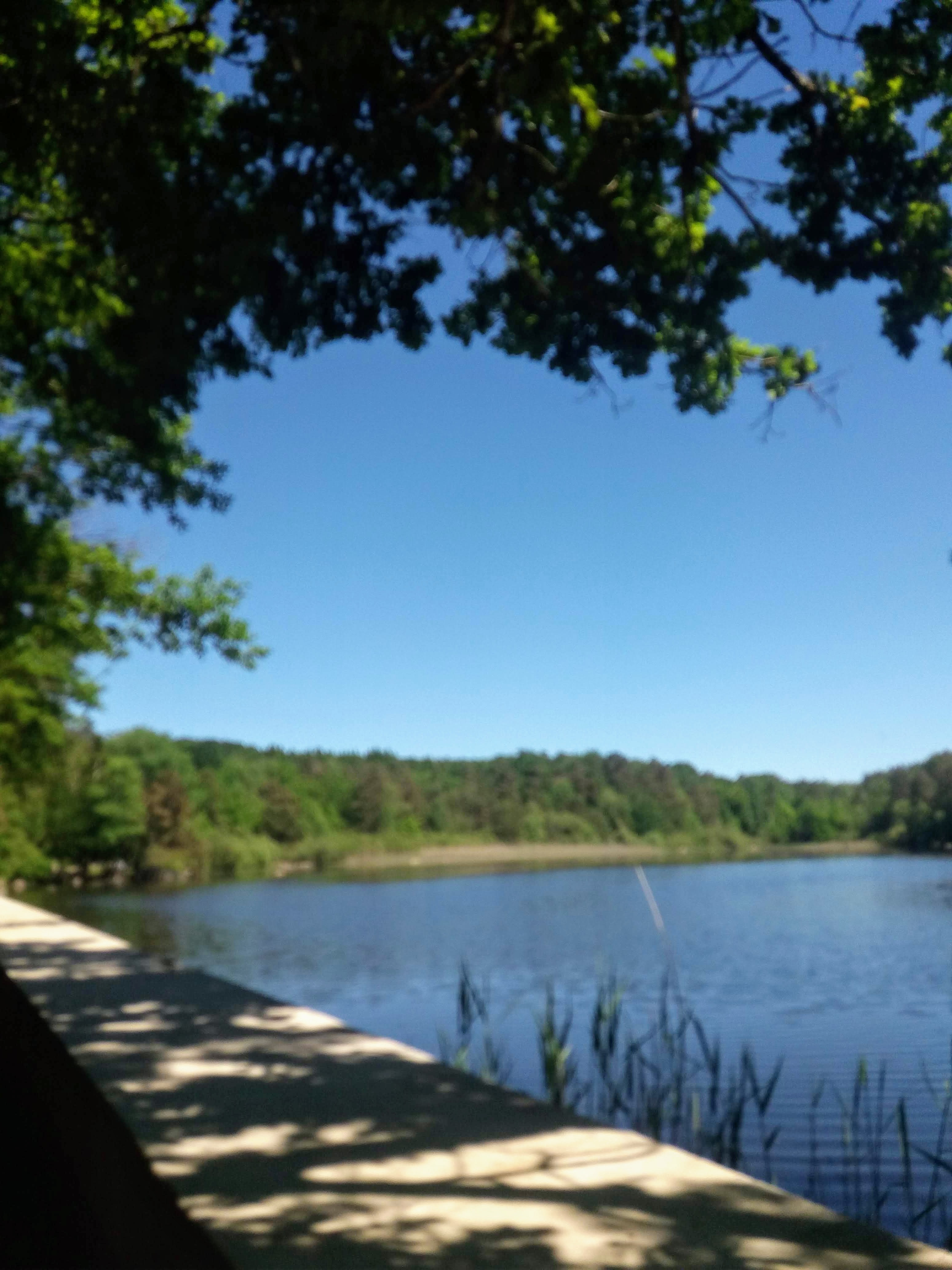 Photo n° 4 de l'avis de Carole.A fait le 03/06/2019 à 15:30