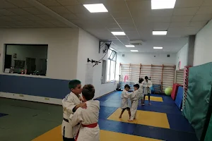 Palestra Judo Shiai Piacenza image