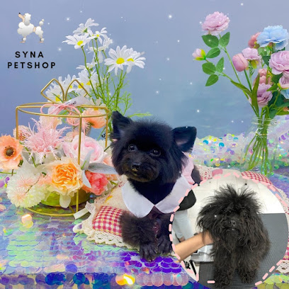 Syna Petshop - Dịch vụ chăm sóc thú cưng chuyên nghiệp