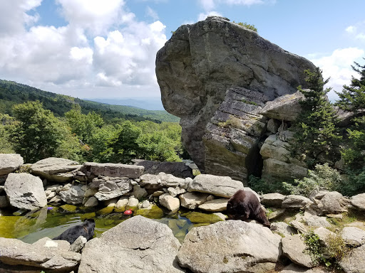 Tourist Attraction «Mile High Swinging Bridge», reviews and photos, US 221 and Blue Ridge parkway, Linville, NC 28646, USA