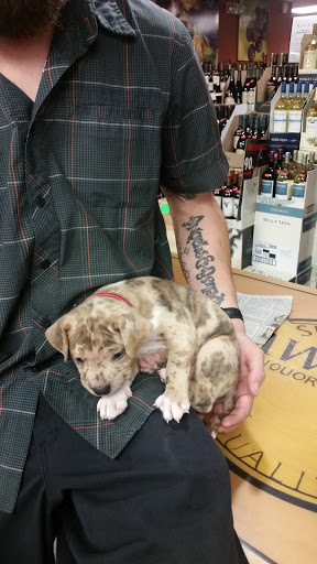 Beer Store «Dawsons Liquor», reviews and photos, 589 Baltimore Annapolis Blvd, Severna Park, MD 21146, USA