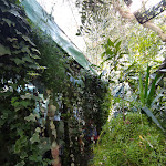 Photo n°2 de l'avis de Marilena.a fait le 09/09/2023 à 14:47 sur le  Trattoria Da Maria à Fano