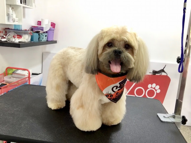 Zoo pet spa - La Molina
