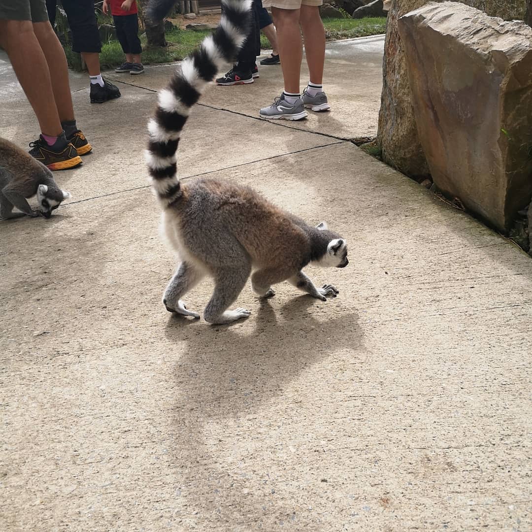 Photo n° 22 de l'avis de Xxx.x fait le 14/08/2020 à 21:01