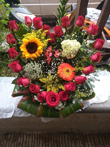 Florería Lupita Misantla – Misantla