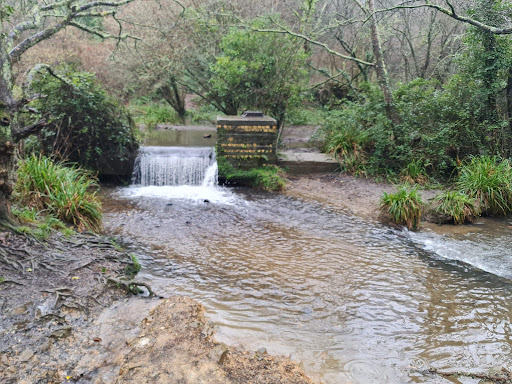 Ham Woods Local Nature Reserve