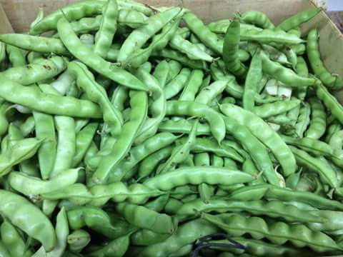 Grocery Store «Cash Saver», reviews and photos, 416 S Main St, Harlan, KY 40831, USA