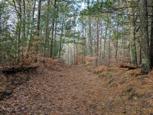 Wedding Venue «Highfield Hall & Gardens», reviews and photos, 58 Highfield Dr, Falmouth, MA 02540, USA