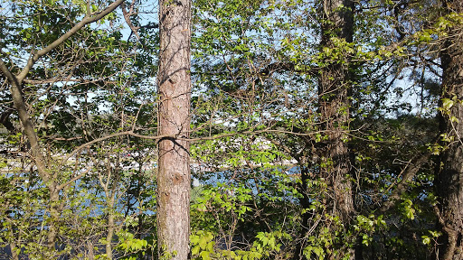 Water Park «Terminus Wake Park», reviews and photos, 171 LakePoint Pkwy, Cartersville, GA 30121, USA