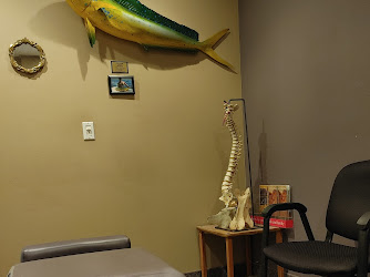Hudak Chiropractic Wellness Center