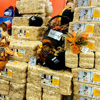 Walmart Garden Center - Photo 2 - Car repair in West Milwaukee, WI, Milwaukee