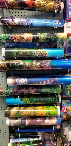 Pet Supply Store «Petland Discounts - Greenpoint», reviews and photos, 846 Manhattan Ave, Brooklyn, NY 11222, USA