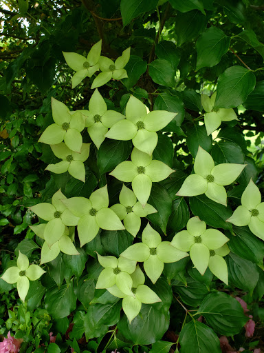 Memorial Park «Boothe Memorial Park», reviews and photos, 5800 Main St, Stratford, CT 06614, USA