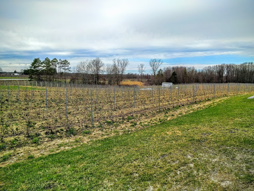 Winery «M Cellars», reviews and photos, 6193 S River Rd W, Geneva, OH 44041, USA