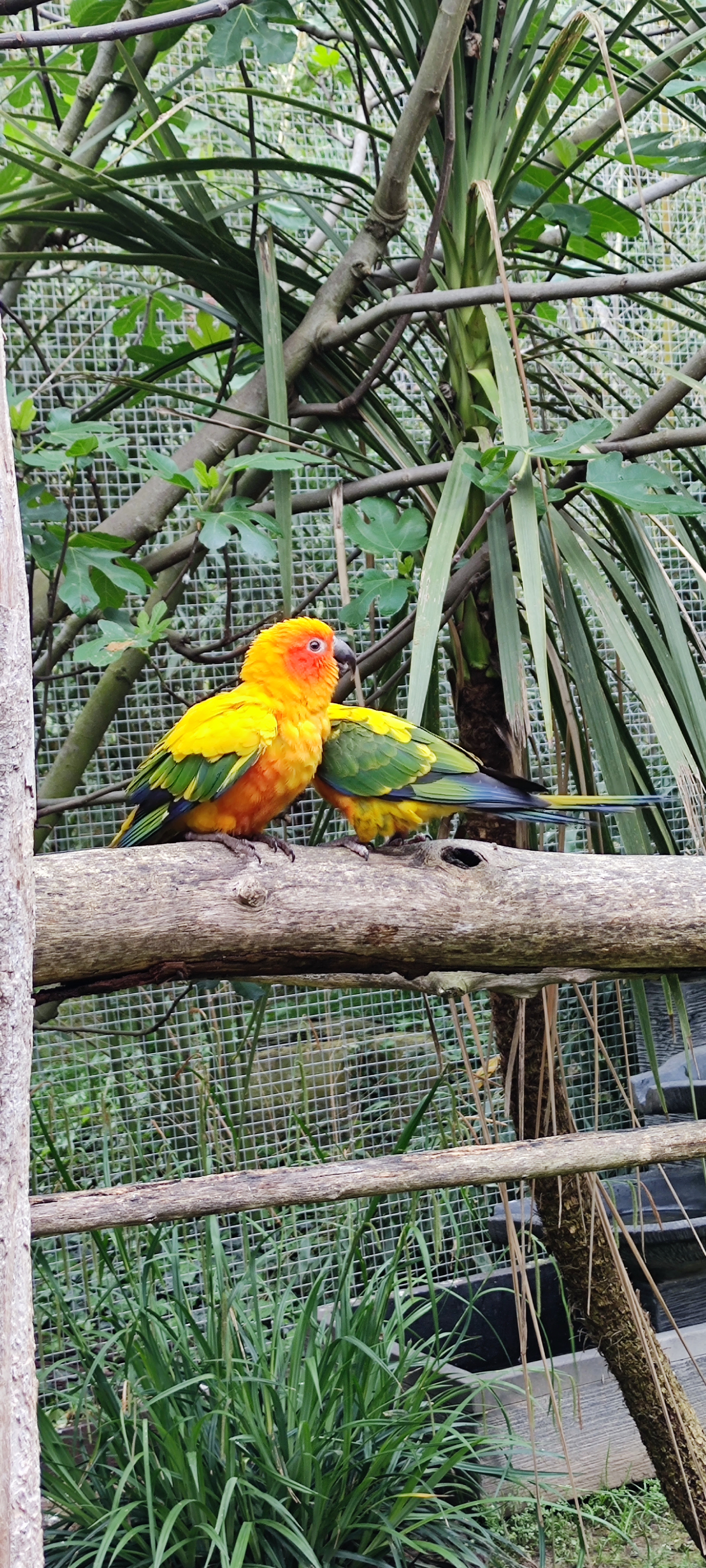 Photo n° 2 de l'avis de Marion.a fait le 30/04/2023 à 14:09