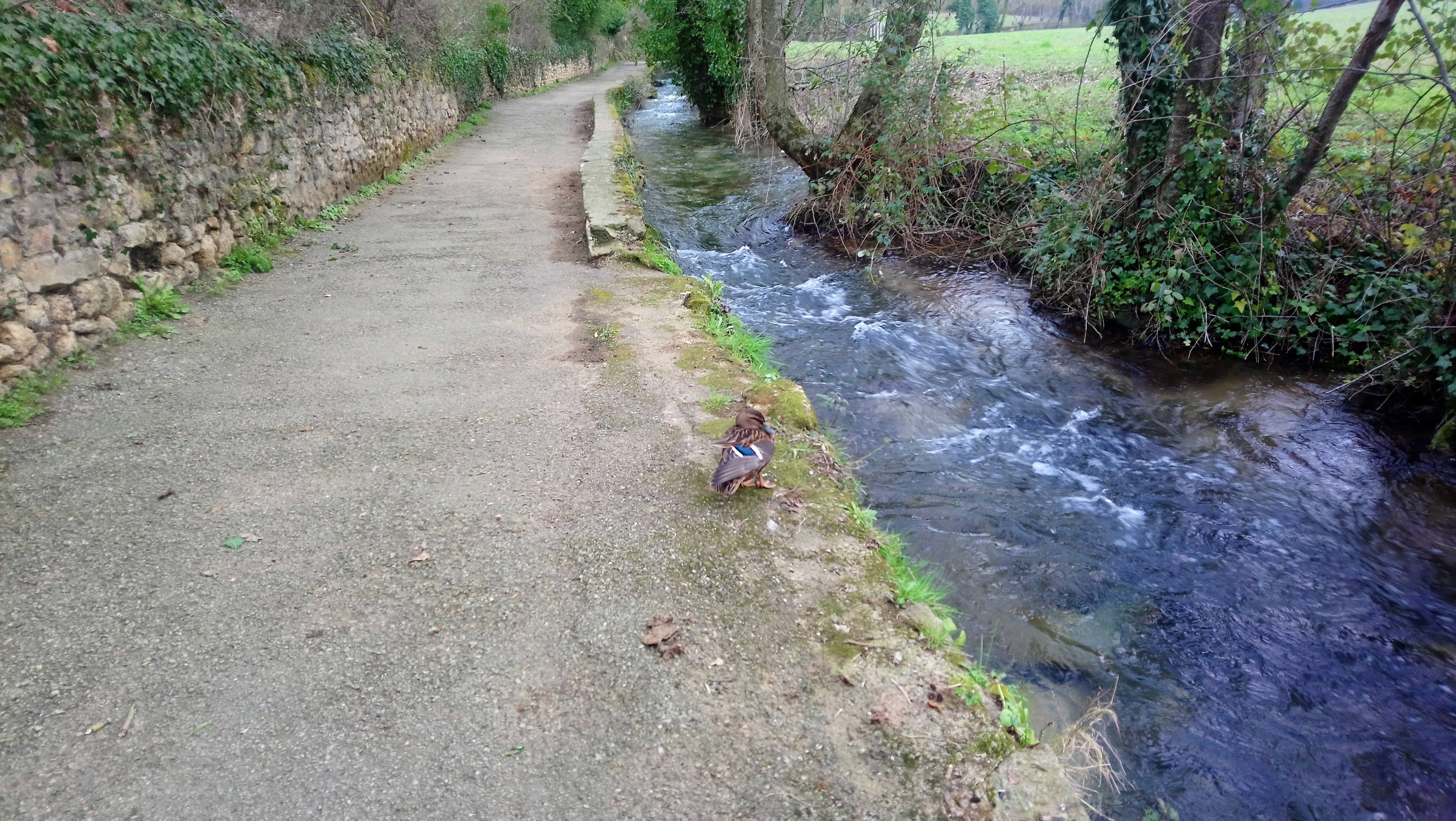 Photo n° 3 de l'avis de Philippe.E fait le 25/02/2018 à 16:42