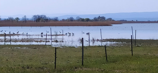 Hansági-főcsatorna parkoló - Sarród
