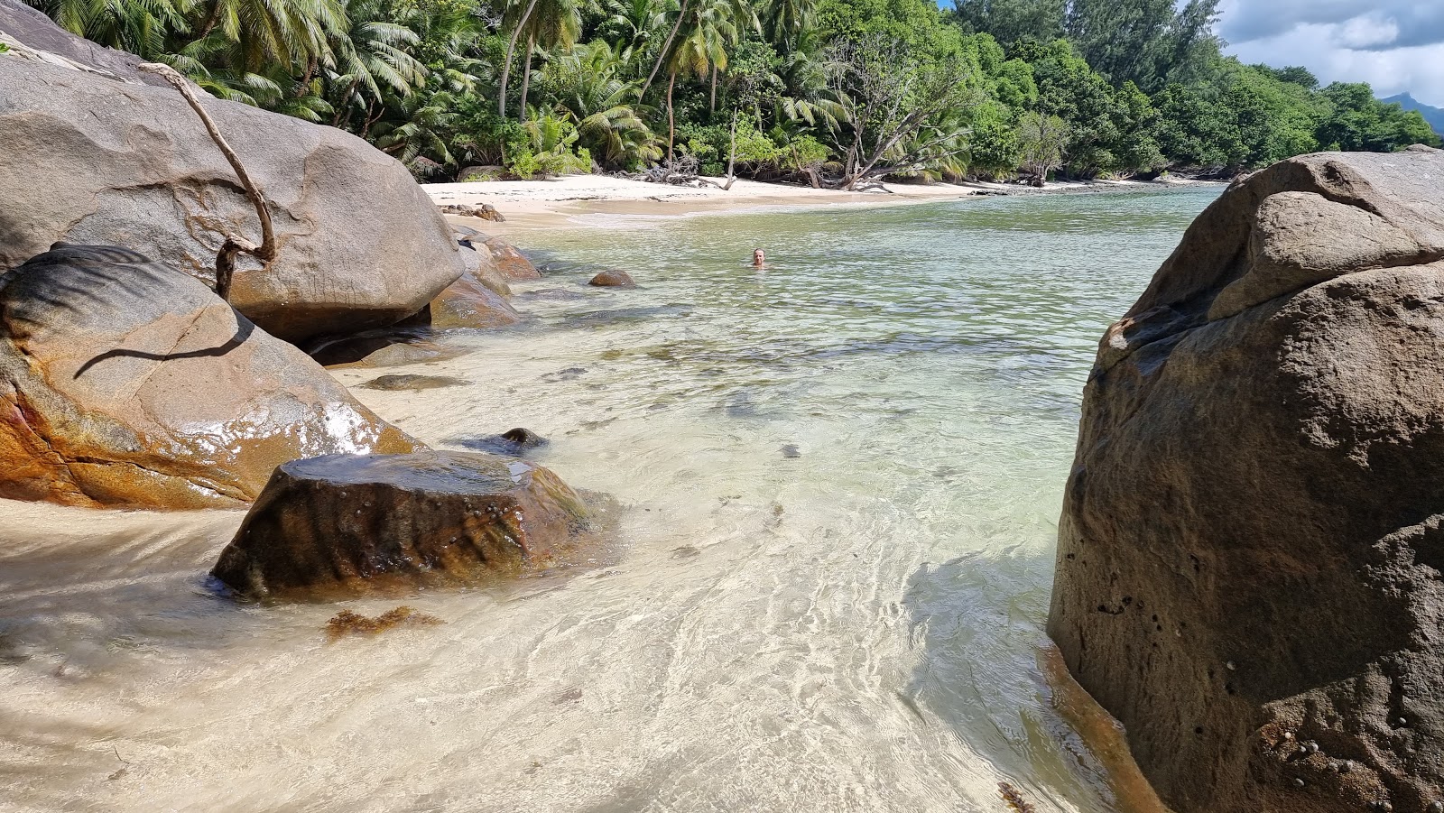 Foto di Anse Cabot Beach con una superficie del sabbia beige fine