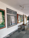 Pt. Jawaharlal Nehru Tribal Museum