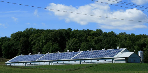 affittoterreno.com - Affitto Terreni Agricoli per Impianti Fotovoltaici