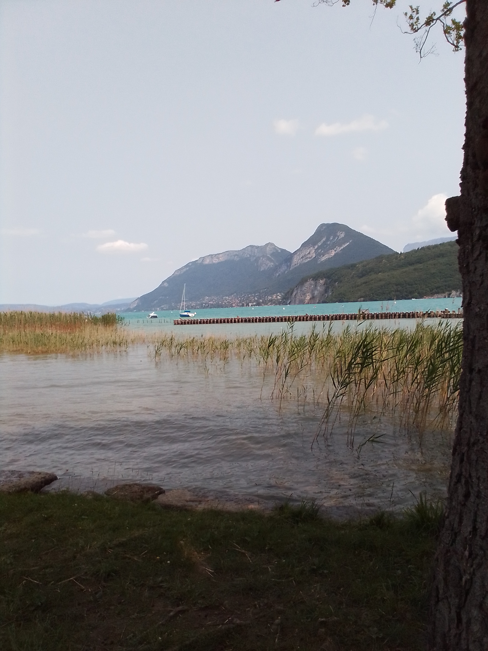 Photo n° 9 de l'avis de Thierry.l fait le 27/06/2023 à 13:44