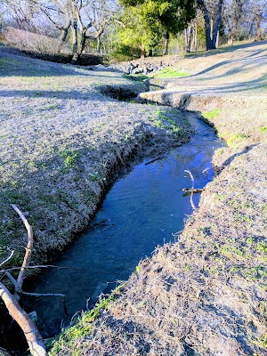 Harry Myers Park - photo 40