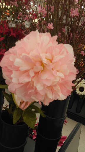 Craft Store «Hobby Lobby», reviews and photos, 3925 Dodge St, Dubuque, IA 52003, USA