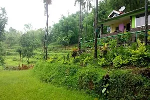 Sabujer Kole Resort image