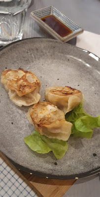 Dumpling du Restaurant chinois Restaurant Éléphant à Lyon - n°5