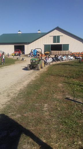 Christmas Tree Farm «Piney Acres», reviews and photos, 1115 E 1000 N, Fortville, IN 46040, USA