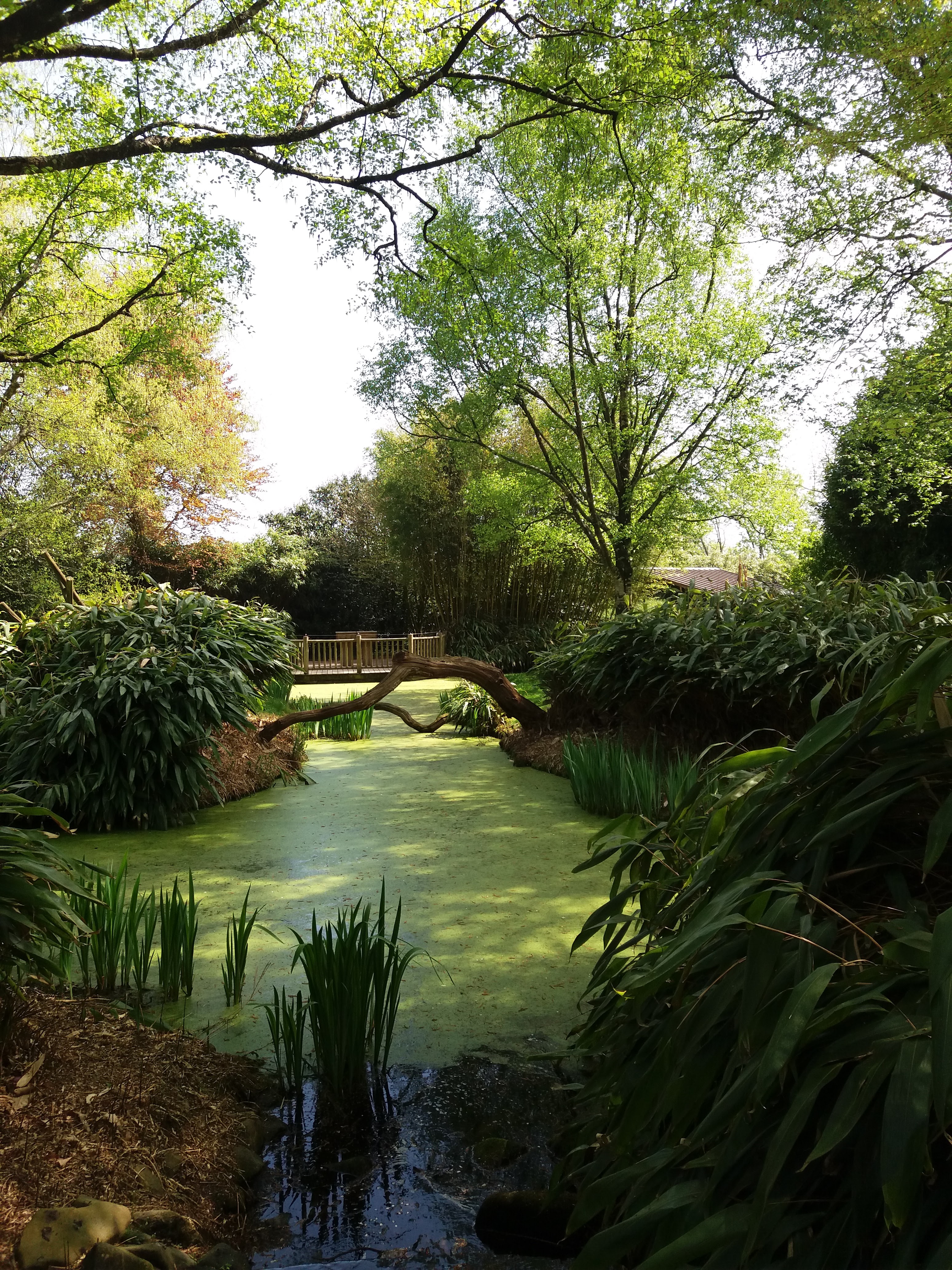 Photo n° 7 de l'avis de Mira.o fait le 22/04/2018 à 15:53
