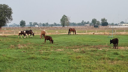 The Herd Farm