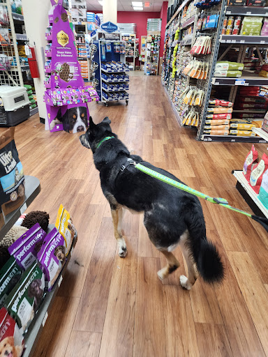 Pet Supermarket